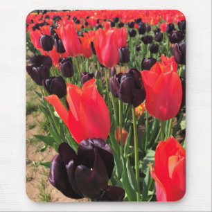 Tapis De Souris Ballerine et reine des Night Tulips