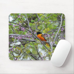 Tapis De Souris Baltimore Oriole