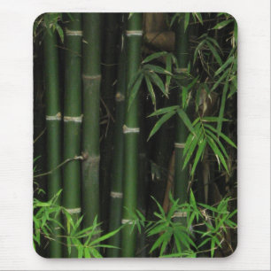 Tapis De Souris Bambou… la FAO Rai, Nong Khai, Isaan, Thaïlande