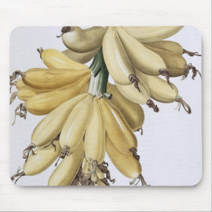 Tapis De Souris Banane, 1816