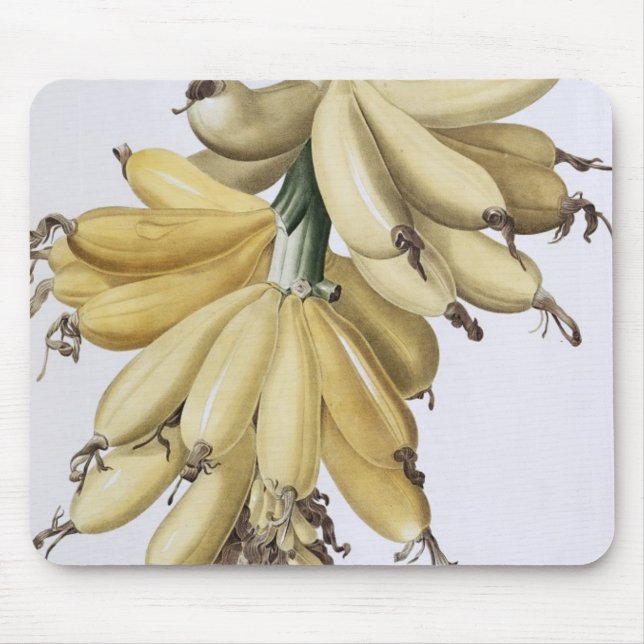 Tapis De Souris Banane, 1816 (Devant)