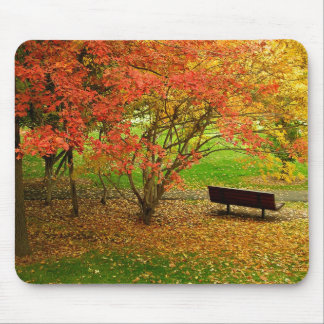 Tapis De Souris Banc d'automne