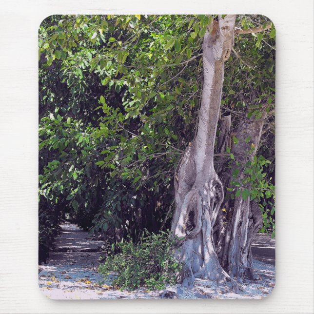 Tapis De Souris Banyan Street Mousepad (Devant)