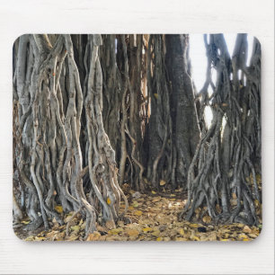 Tapis De Souris Banyan Tree