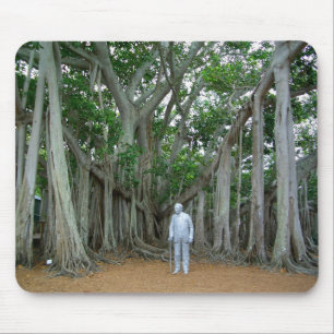 Tapis De Souris Banyan Tree Edison & Ford Estate Ft Myers Floride