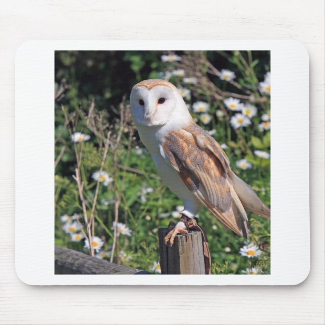Tapis De Souris Barn Owl (Devant)