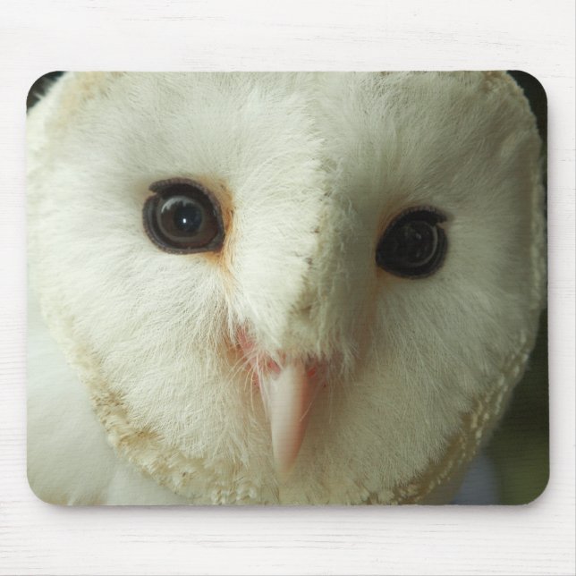 Tapis De Souris Barn Owl Mousepad (Devant)