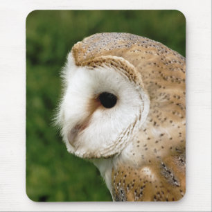 TAPIS DE SOURIS BARN OWLS