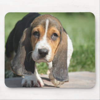 Tapis De Souris Basset Hound Mousepad