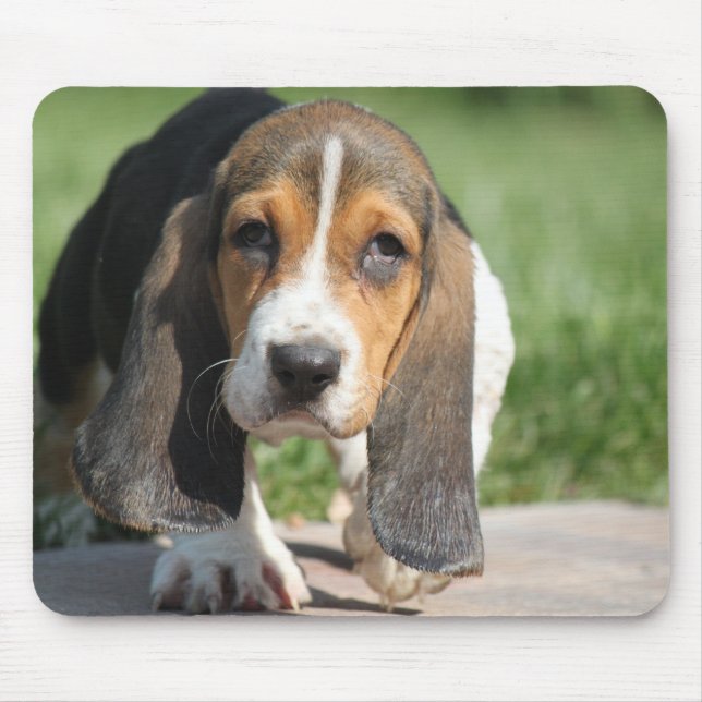 Tapis De Souris Basset Hound Mousepad (Devant)