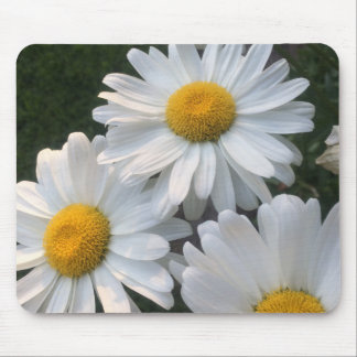 Tapis De Souris Bassins blancs