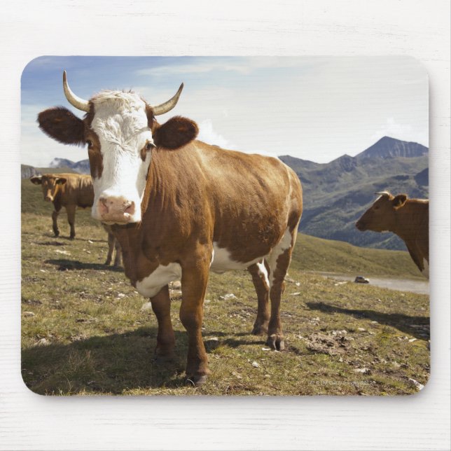 Tapis De Souris Bataille (Devant)