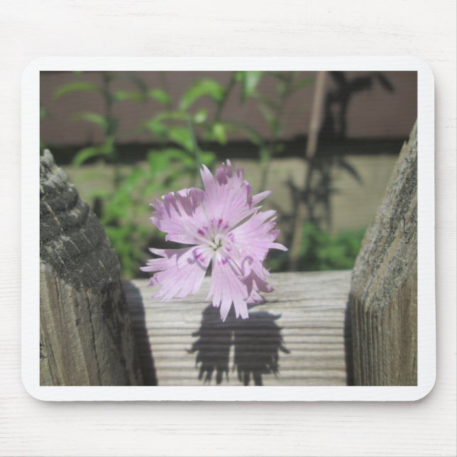 Tapis De Souris Bath Dianthus (Devant)