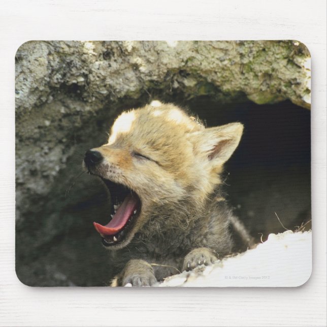 Tapis De Souris Baugeage de chiot de Coyote (Devant)
