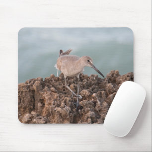 Tapis De Souris Beach Shorebird avec Seafoam GreenOcean Arrière -