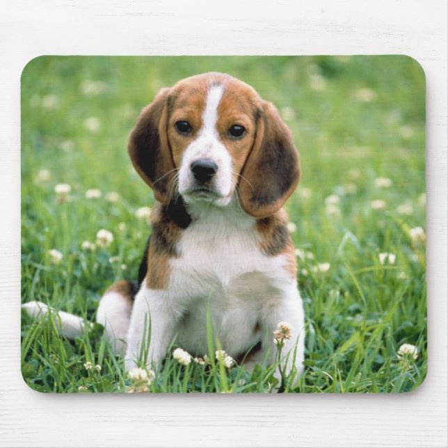 Tapis De Souris Beagle Puppy (Devant)