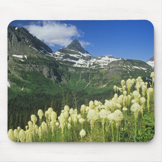 Tapis De Souris Beargrass près du col Logan National Gacier (Devant)