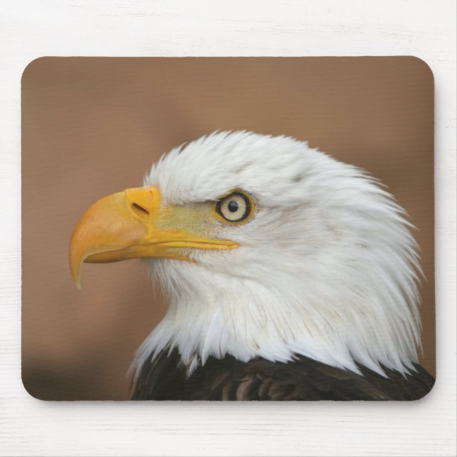 Tapis De Souris Beau aigle à tête blanche (Devant)
