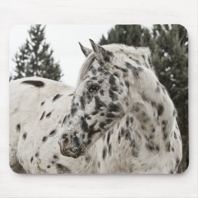 Tapis De Souris Beau Appaloosa Horse, Western, Appy (Devant)