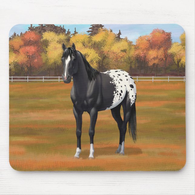 Tapis De Souris Beau Appaloosa Noir Quarter Horse Stallion (Devant)