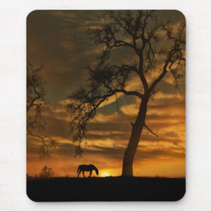 Tapis De Souris Beau Art Fine Horse Photographie Mousepad