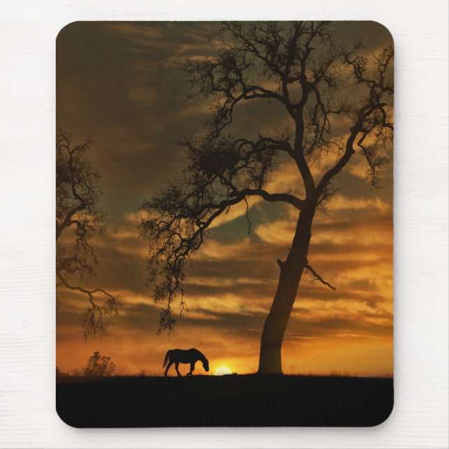 Tapis De Souris Beau Art Fine Horse Photographie Mousepad (Devant)