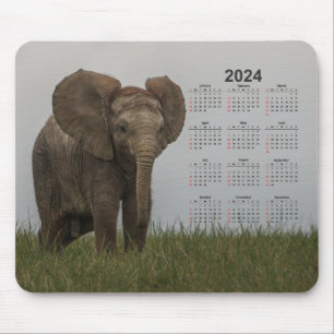 Tapis De Souris Beau calendrier African Bush Elephant 2024