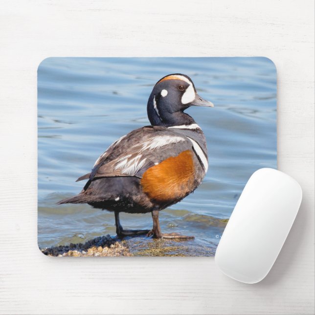 Tapis De Souris Beau canard arlequin sur le rocher (Avec souris)