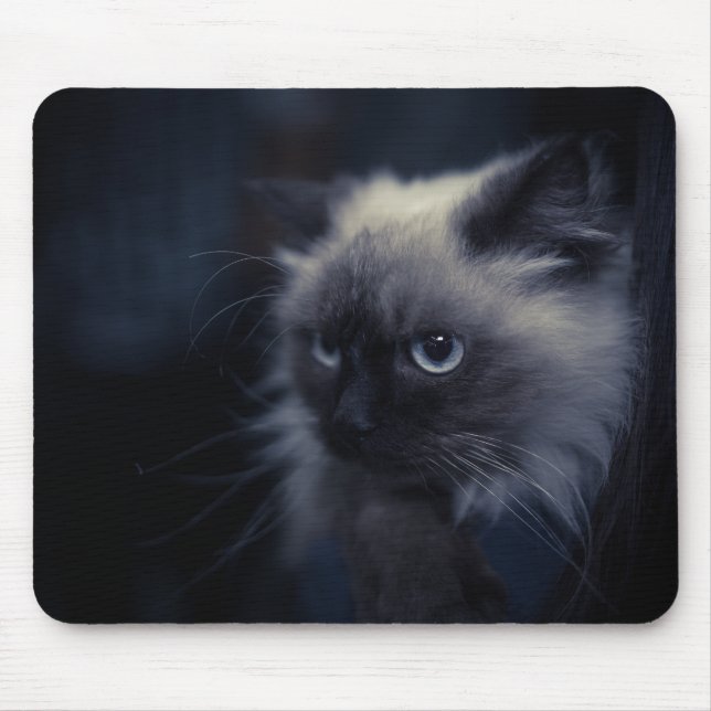 Tapis De Souris Beau chat (Devant)