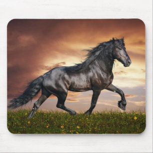Tapis De Souris Beau cheval