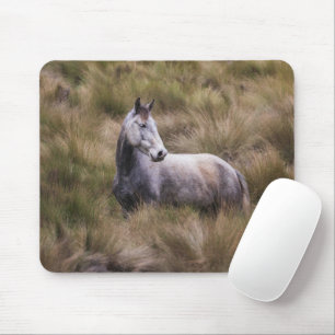 Tapis De Souris Beau Cheval gris coloré