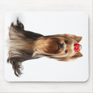 Tapis De Souris Beau chien adorable