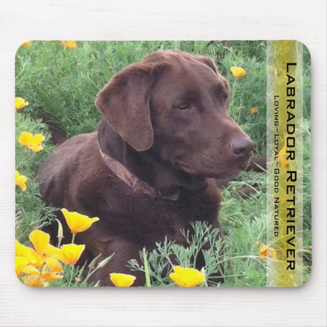 Tapis De Souris Beau Chocolat Labrador Retriever Chasse Chien (Devant)