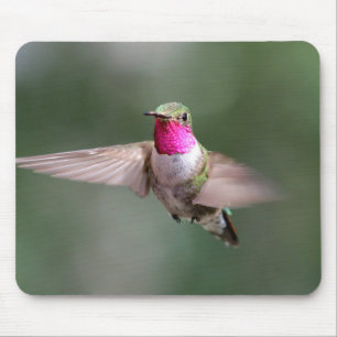 Tapis De Souris Beau colibri dans le carnet de souris de vol