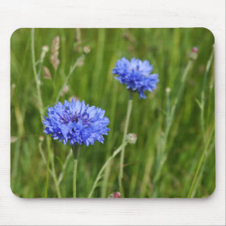 Tapis De Souris Beau décor de fleurs de prairie de Cornouailles Bl