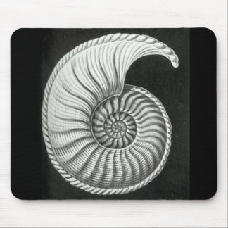 Tapis De Souris Beau dessin au crayon d'ammonite d'Amaltheus