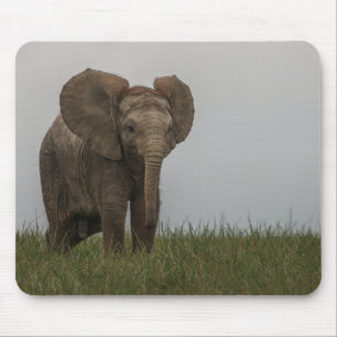 Tapis De Souris Beau éléphant d'African Bush