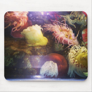 Tapis De Souris Beau et coloré mousepad de corail mou
