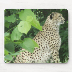 Tapis De Souris Beau guépard