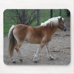 Tapis De Souris Beau Haflinger