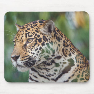 Tapis De Souris Beau Jaguar dans le sac à souris sauvage