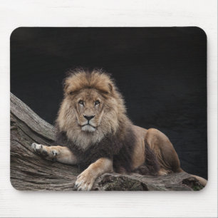 Tapis De Souris Beau Lion