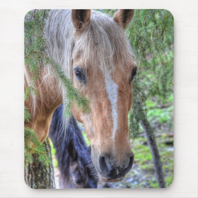 Tapis De Souris Beau Palomino Peinture Cheval & Branches en Pluie (Devant)