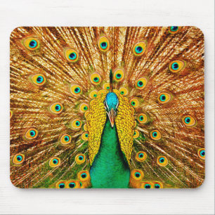 Tapis De Souris Beau paon