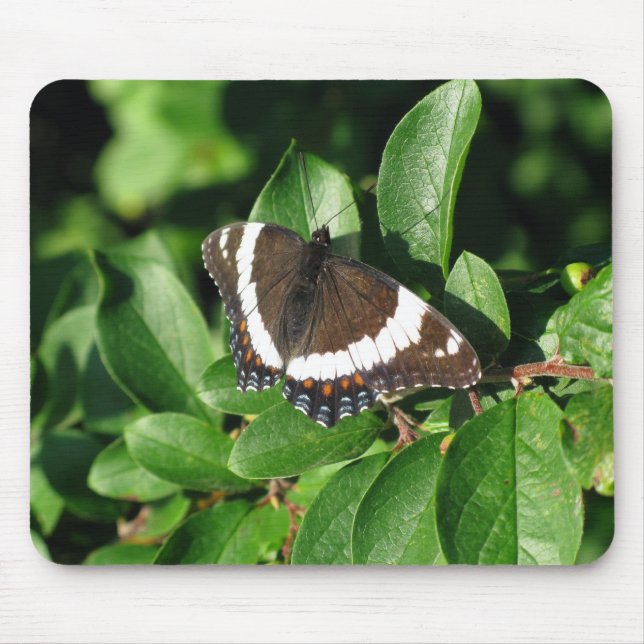 Tapis De Souris Beau papillon (Devant)