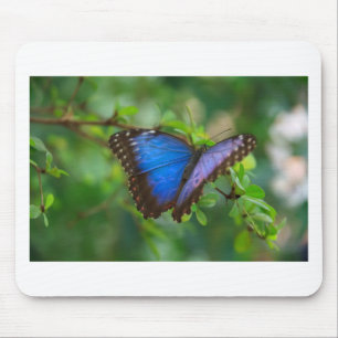 Tapis De Souris Beau Papillon bleu violet et noir