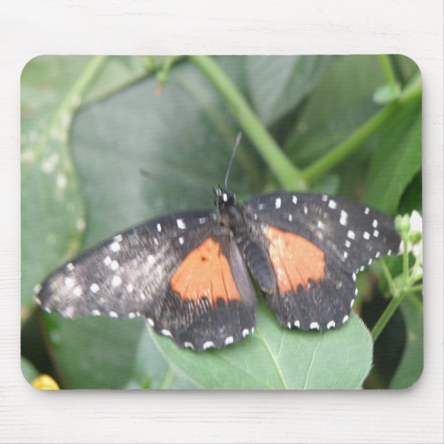Tapis De Souris Beau papillon Mousepad (Devant)