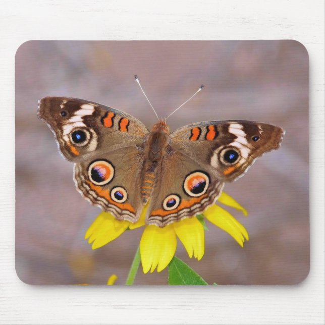 Tapis De Souris Beau papillon sur Fleur Jaune (Devant)