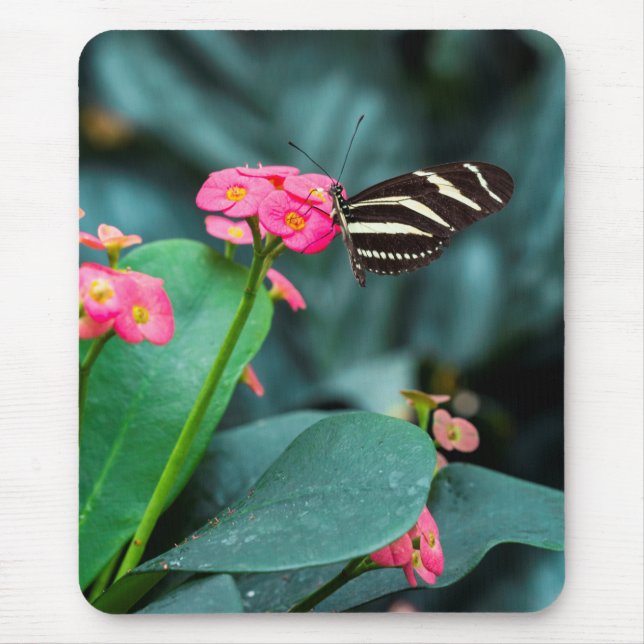 Tapis De Souris Beau papillon sur une fleur rose (Devant)