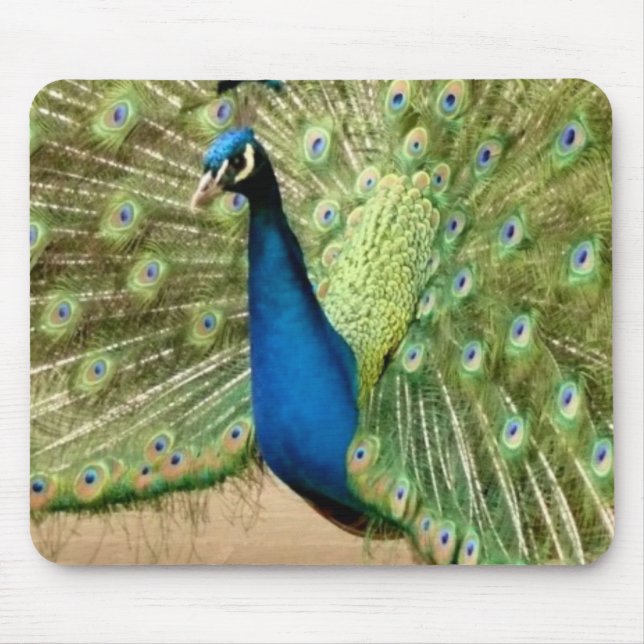 Tapis De Souris Beau Peacock (Devant)